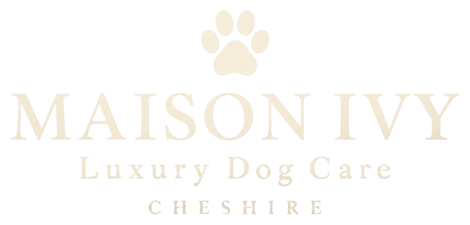 Maison Ivy — Luxury Dog Care, Cheshire